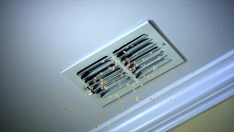 Best Air Duct Cleaning Company Near Me  in Bellevue, OH