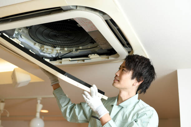 Best Air Duct Mold Removal  in Bellevue, OH